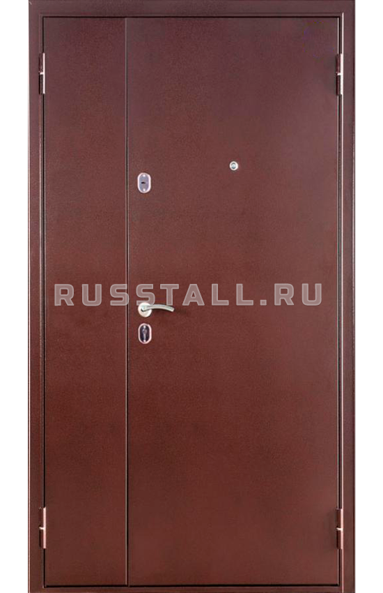 Входная техническая дверь RS23