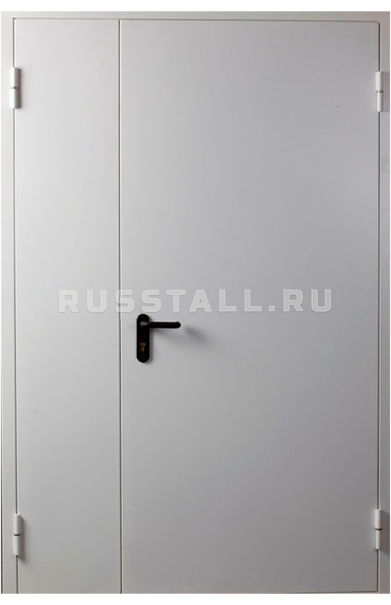 Металлическая техническая входная дверь RS129
