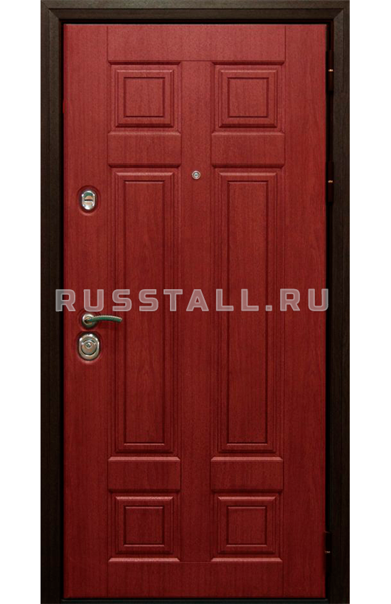 Металлическая уличная входная дверь в дом RS11