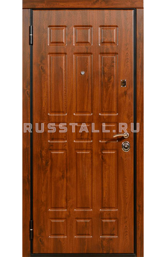 Входная дверь в коттедж RS5